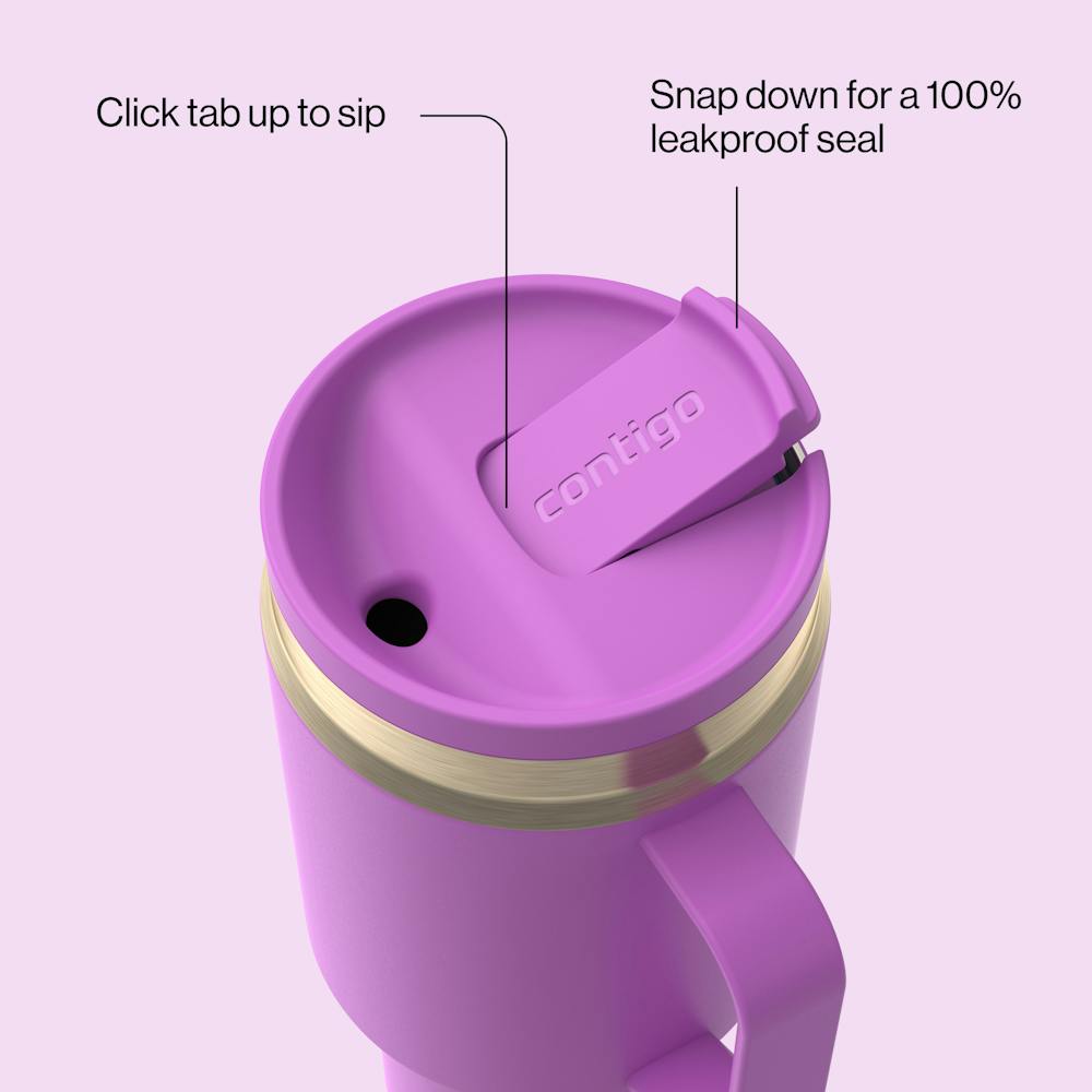30 oz SnapSeal™ Tumbler (w/ Straw & Handle) (HJ5Y)