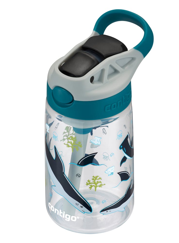 Contigo® Kids Straw Water Bottle with AUTOSPOUT® Lid, 14oz (7IB4)