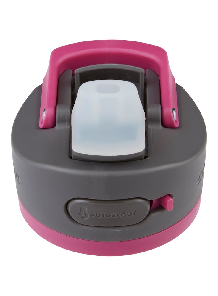 Contigo® Ashland 2.0 Water Bottle with AUTOSPOUT® Lid, 24oz (7SJH)