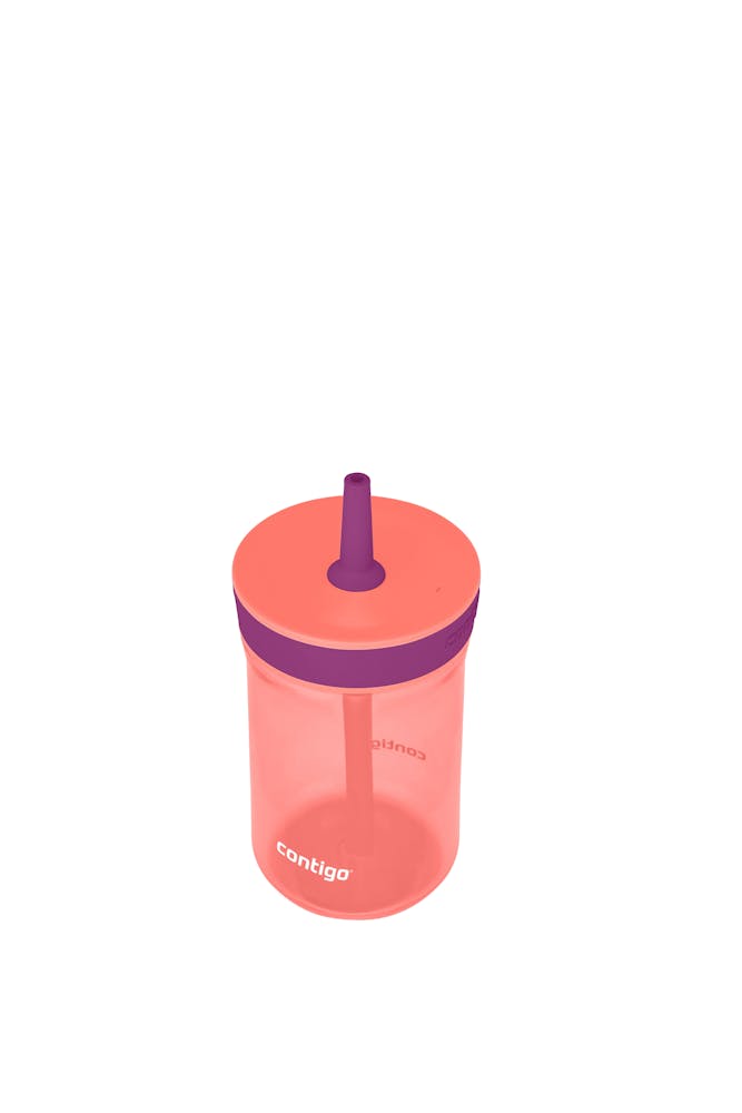 Contigo® Kids’ Leighton Straw Tumbler with Spill-Proof Leak-Proof Lid, 14oz (WYHM)