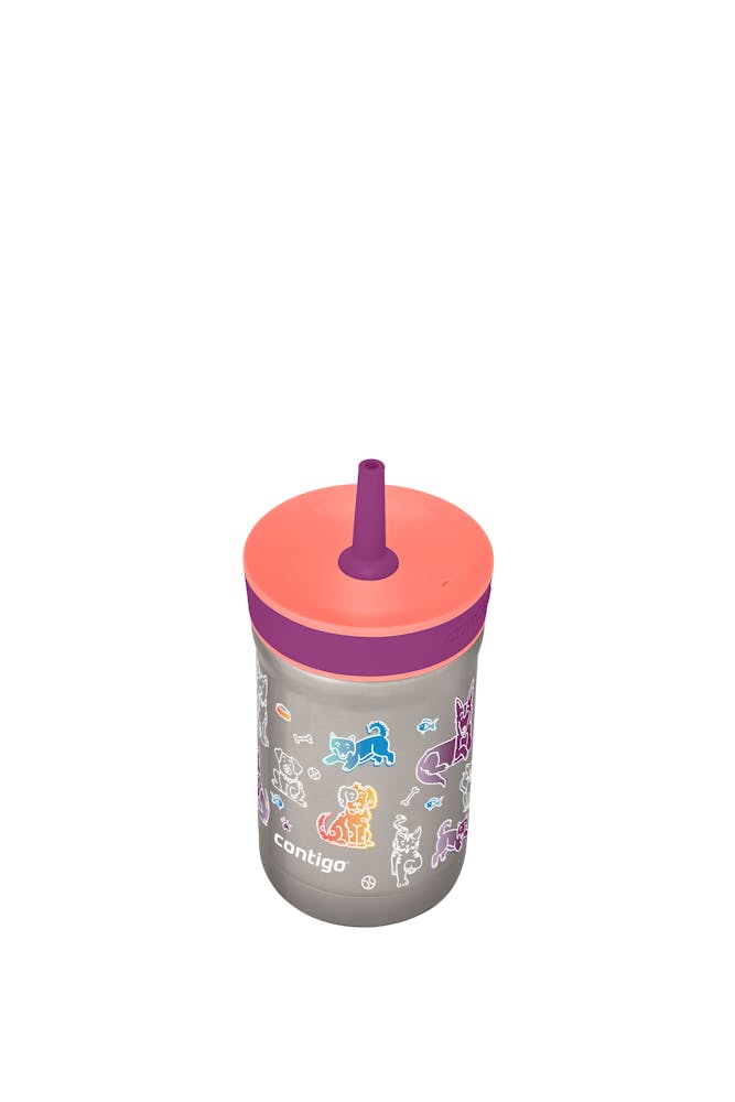 Contigo® Kids Leighton Spill-Proof Stainless Steel Tumbler with Straw, 12oz (7LHW)