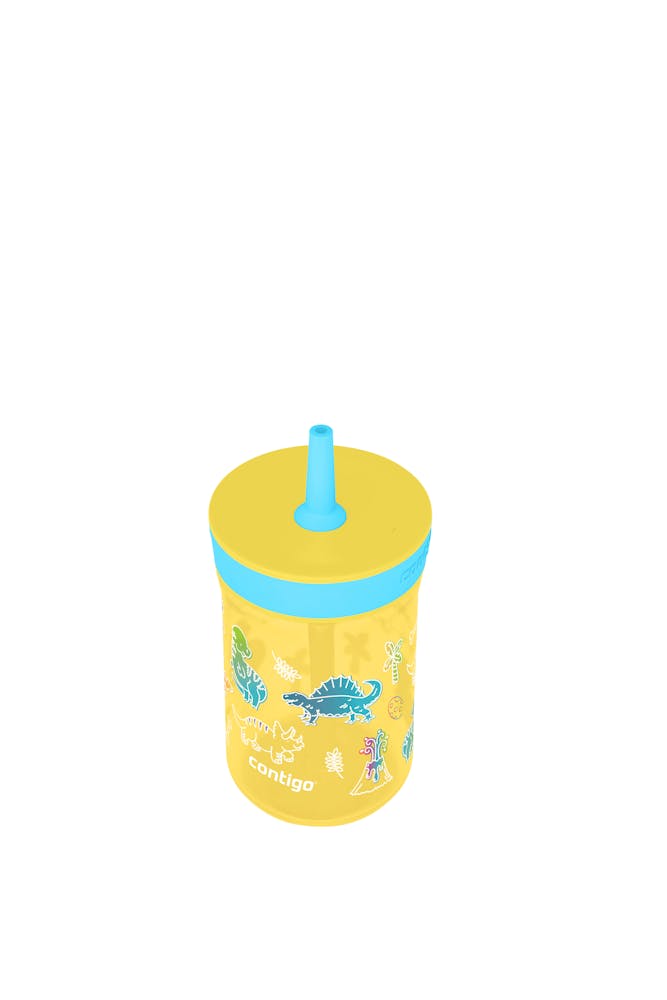 Contigo® Kids’ Leighton Straw Tumbler with Spill-Proof Leak-Proof Lid, 14oz (WYHM)